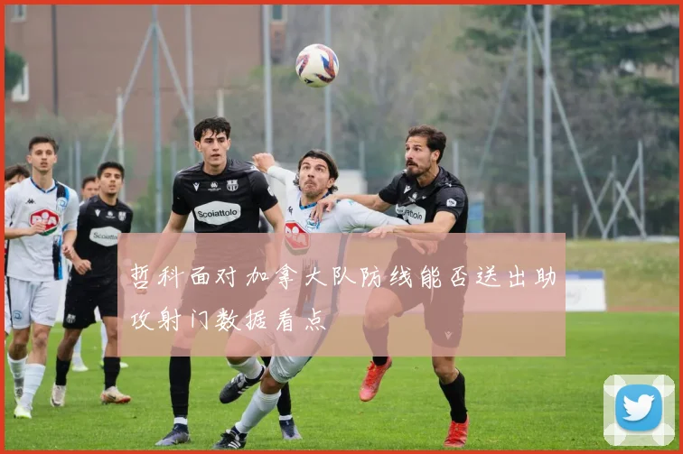 哲科面对加拿大队防线能否送出助攻射门数据看点