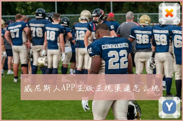 威尼斯人APP正版正规渠道怎么玩